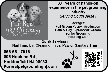 Fur Real Pet Grooming — Coffee News advertisement